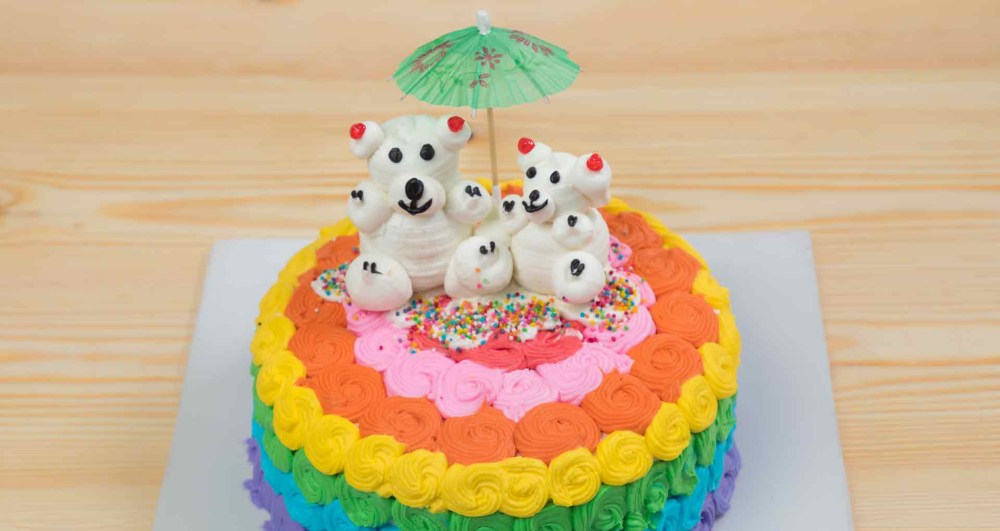 Are you looking for the Best Rainbow Cake in Trichy??
